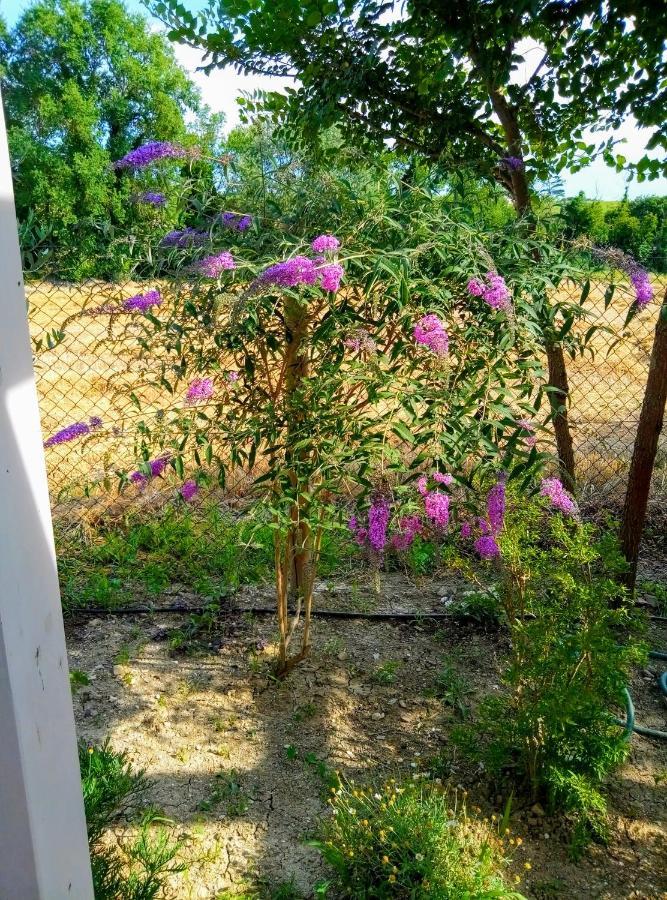 La Casa Di Tara B&B Armonia E Natura Recanati Exterior foto
