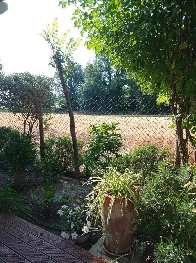 La Casa Di Tara B&B Armonia E Natura Recanati Exterior foto