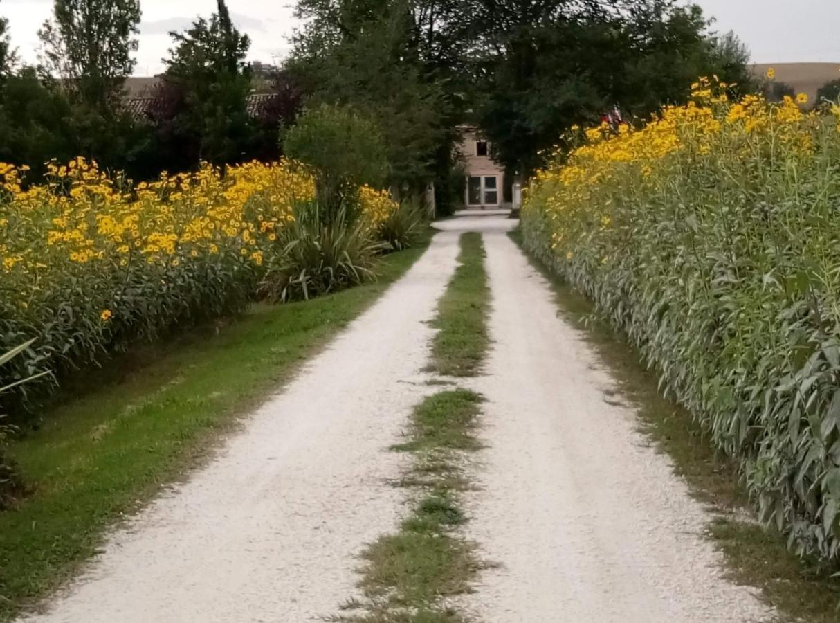 La Casa Di Tara B&B Armonia E Natura Recanati Exterior foto
