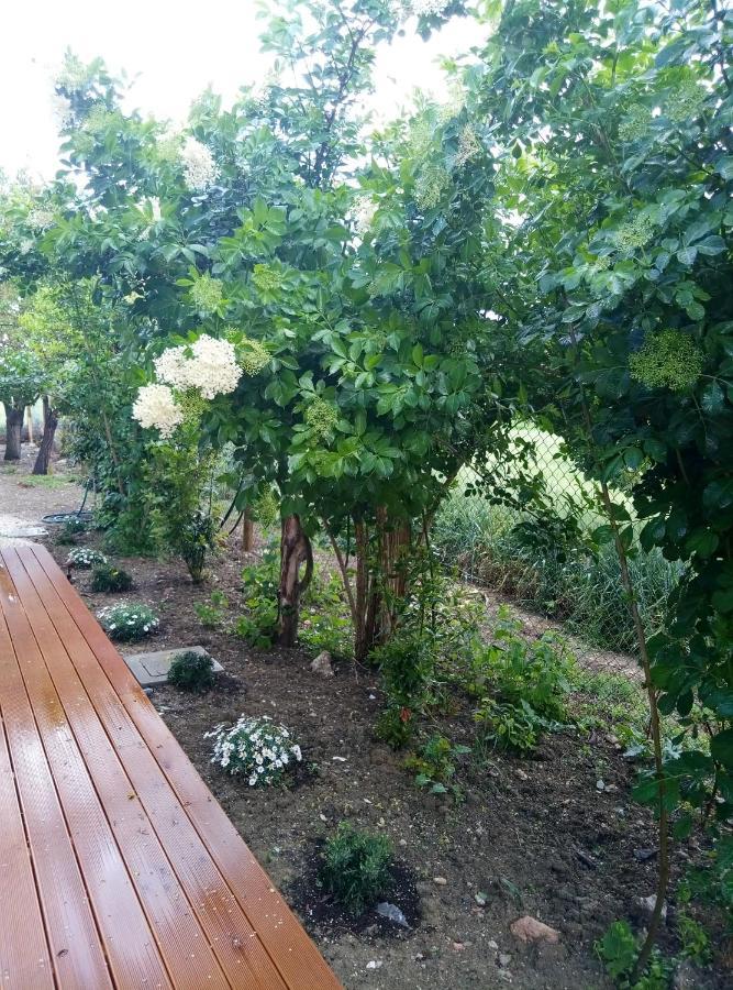 La Casa Di Tara B&B Armonia E Natura Recanati Exterior foto
