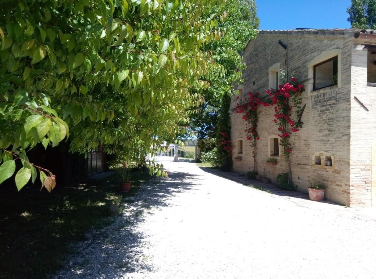 La Casa Di Tara B&B Armonia E Natura Recanati Exterior foto